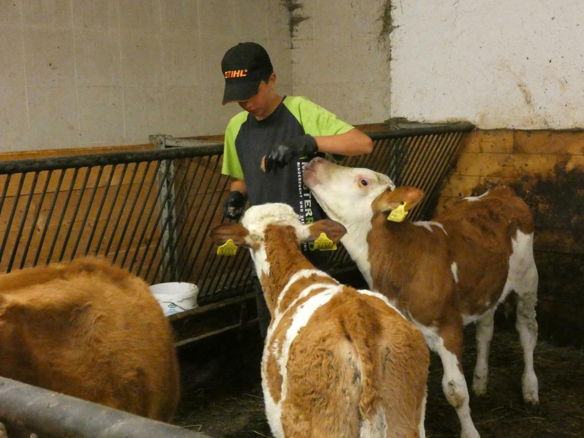 סלבה די ואל גרדנה Agriturismo Maso Larciunei מראה חיצוני תמונה